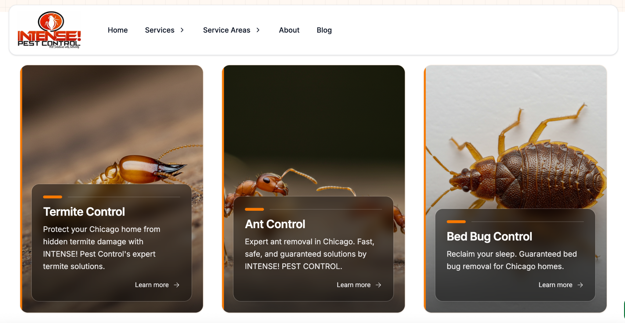 example-of-a-service-page-intense-pest-control-company