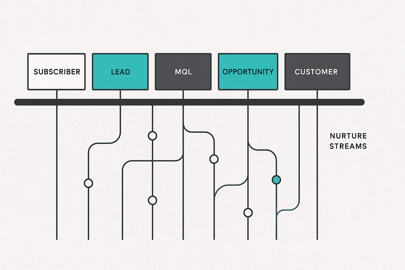 How HubSpot Lifecycle Stages Guide Lead Nurturing