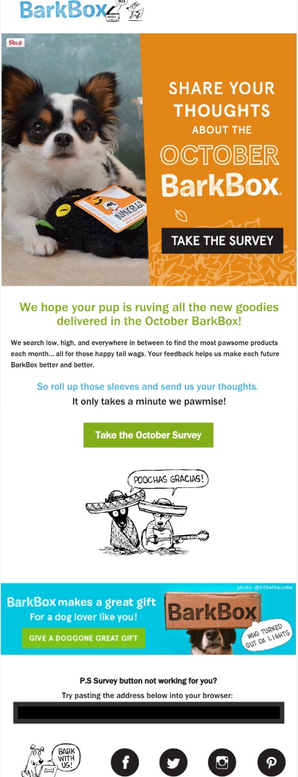 customer-satisfaction-survey-email